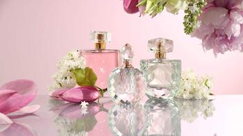 Buy perfume and air freshener spray